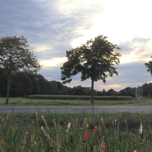 01.2020 | Spatenstich Kreisarchiv Viersen